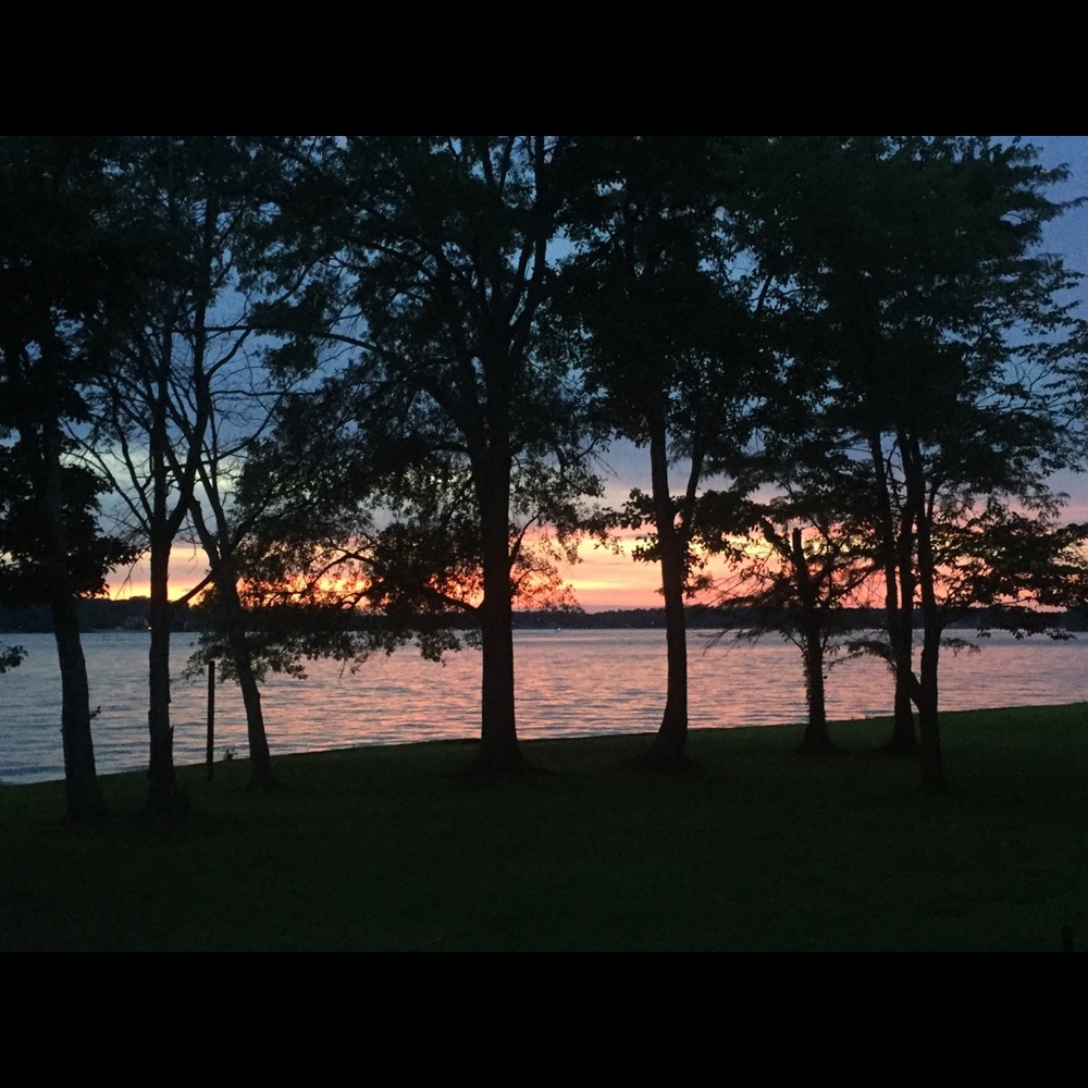 Meet Your Posher Listing - Picture 3 of 8